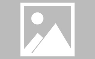 郴州新区景区网站建设（in art criticism,you must assume）